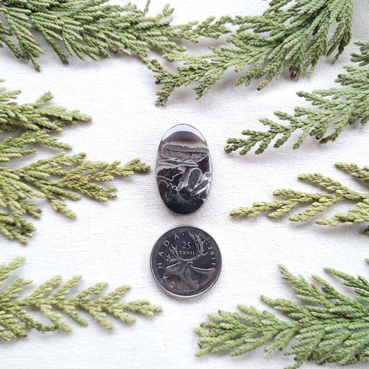 Black Scene Agate, Boston Bar, BC. Canada 32ct
