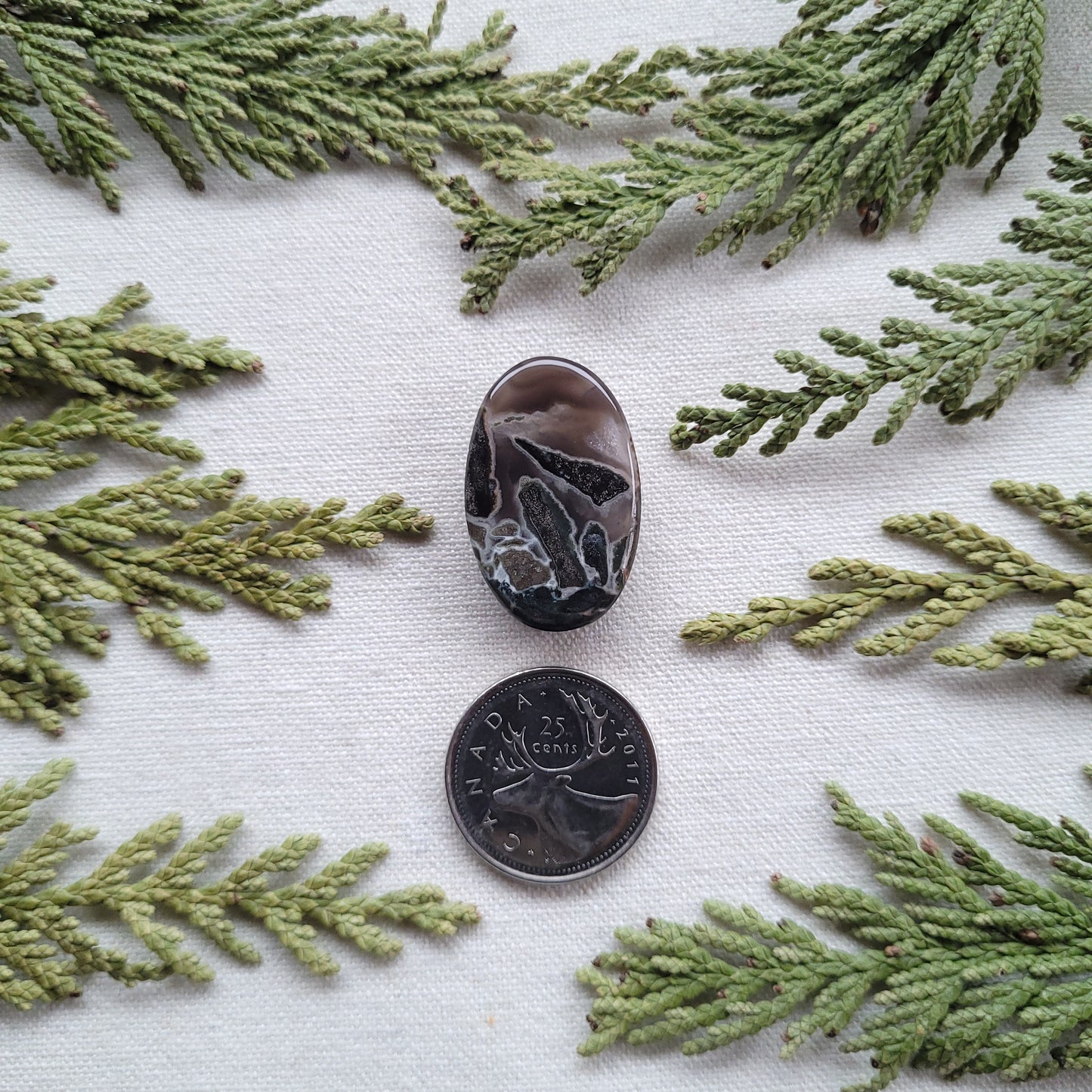 Black Scene Agate, Boston Bar, BC. Canada 32ct