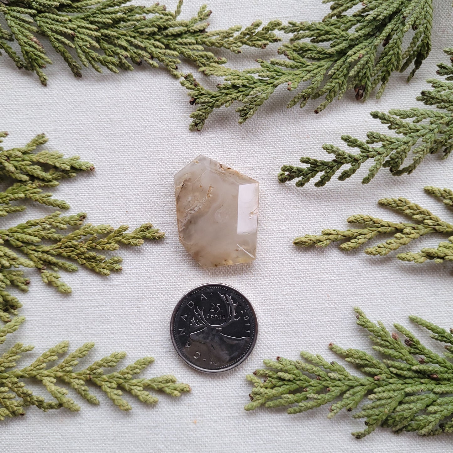Tube Agate Faceted freeform, Babine Lake, BC, Canada, 36.15ct