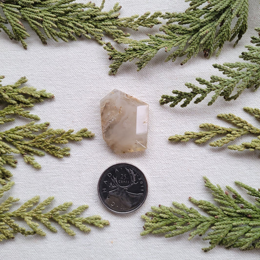Tube Agate Faceted freeform, Babine Lake, BC, Canada, 36.15ct