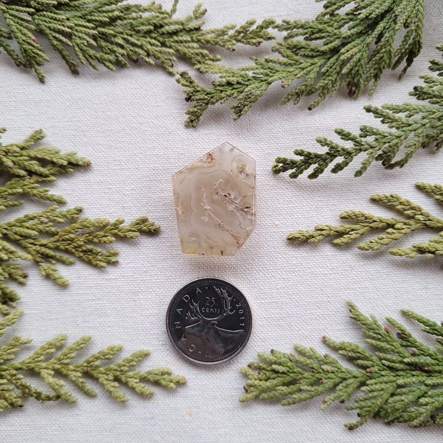 Tube Agate Faceted freeform, Babine Lake, BC, Canada, 36.15ct