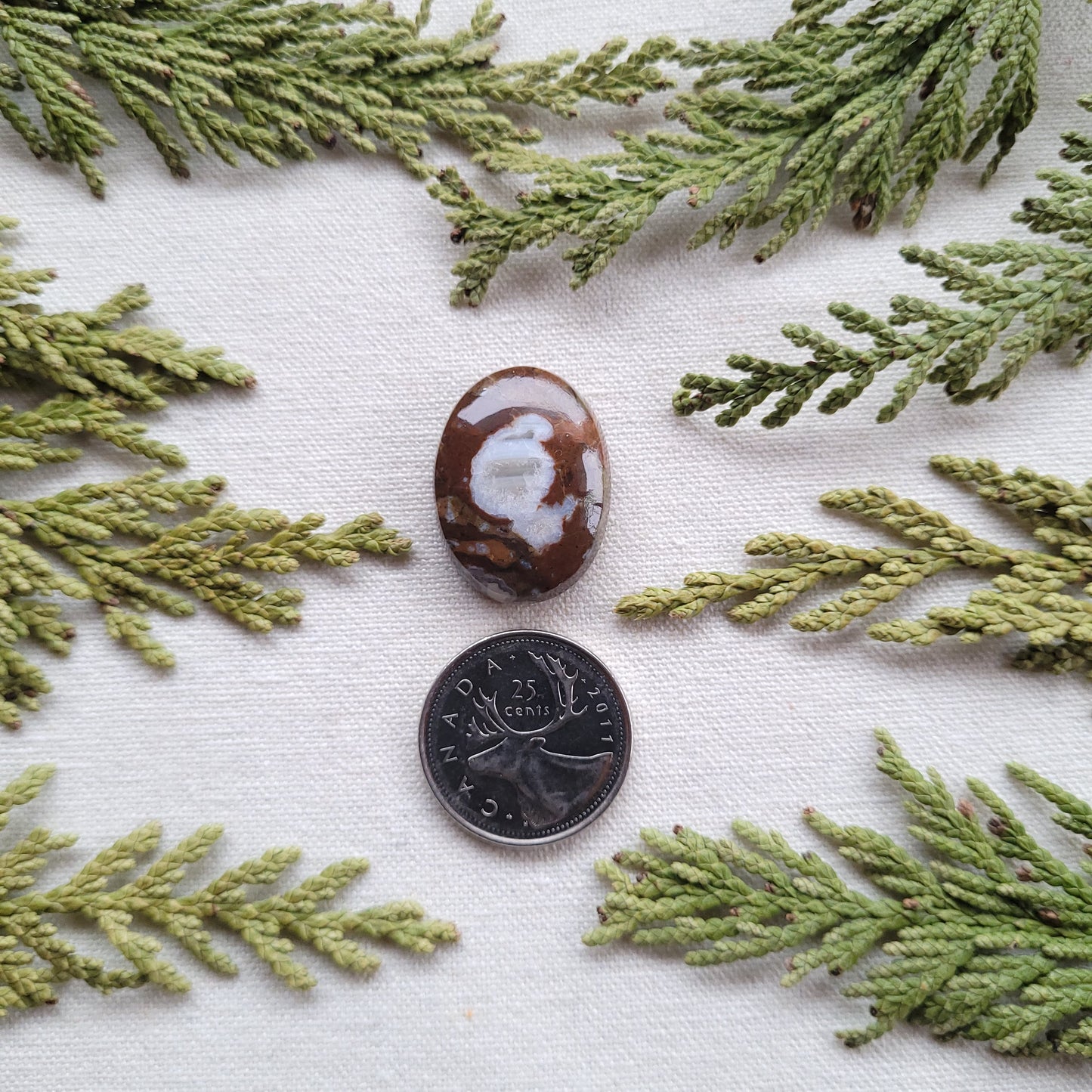 Agatized Rhyolite, Francois lake, BC 28.15ct