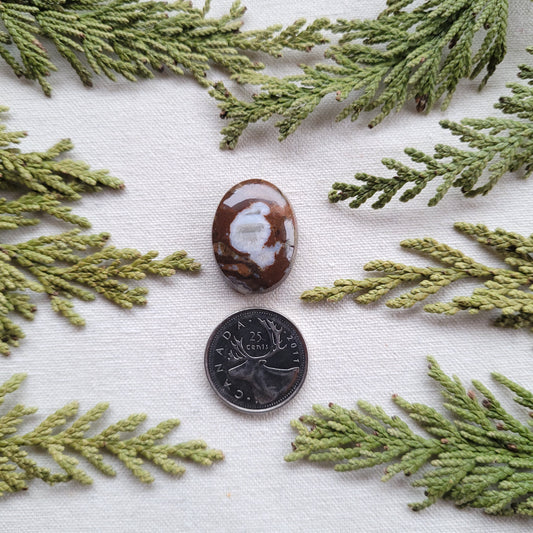 Agatized Rhyolite, Francois lake, BC 28.15ct