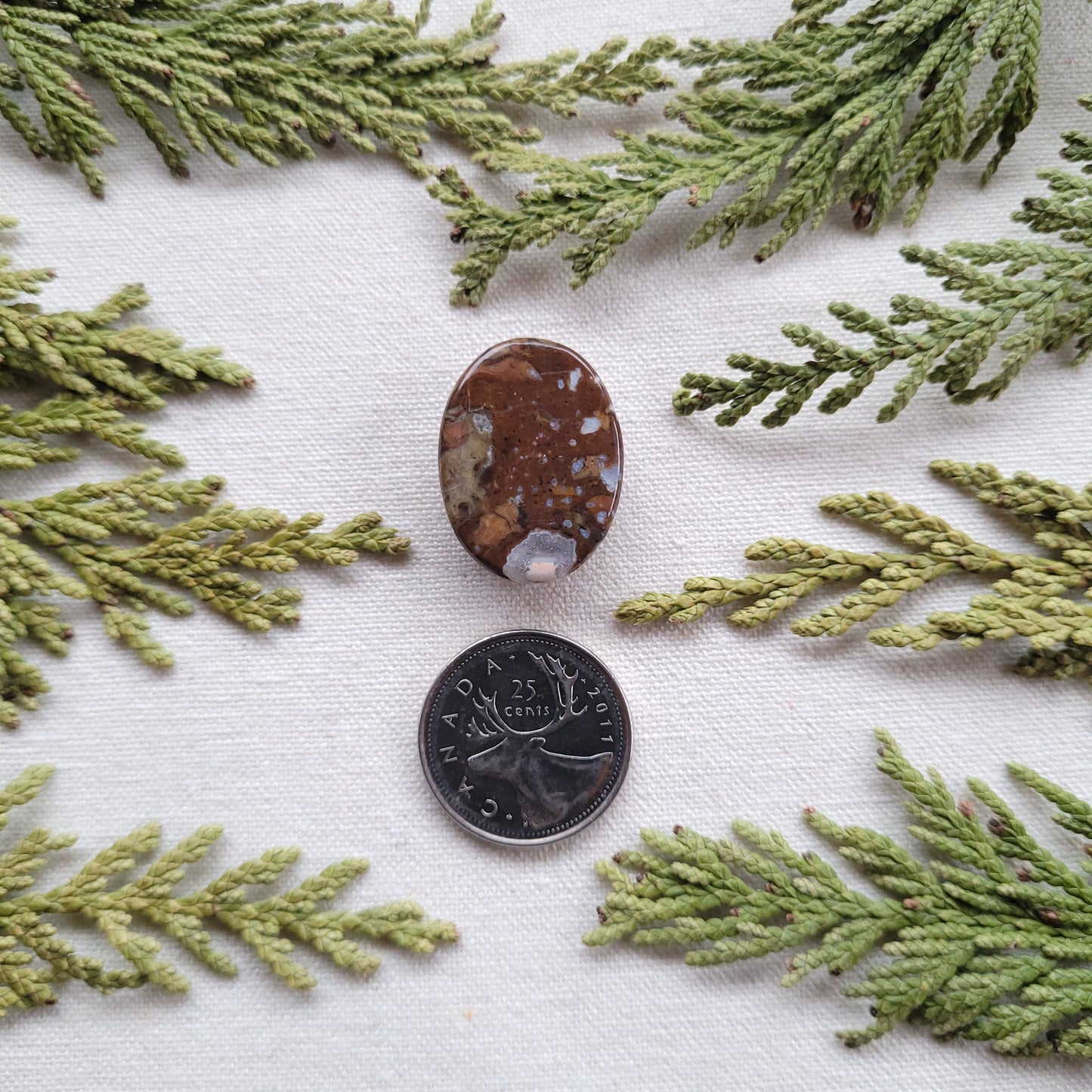 Agatized Rhyolite, Francois lake, BC 28.15ct