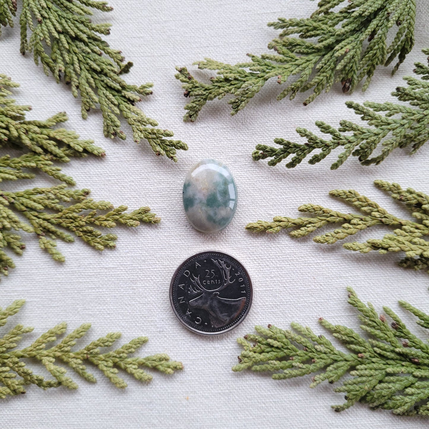 Robins Egg Rhyolite, Skeena River, BC, 15.45 ct