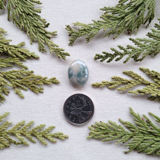 Robins Egg Rhyolite, Skeena River, BC, 15.45 ct