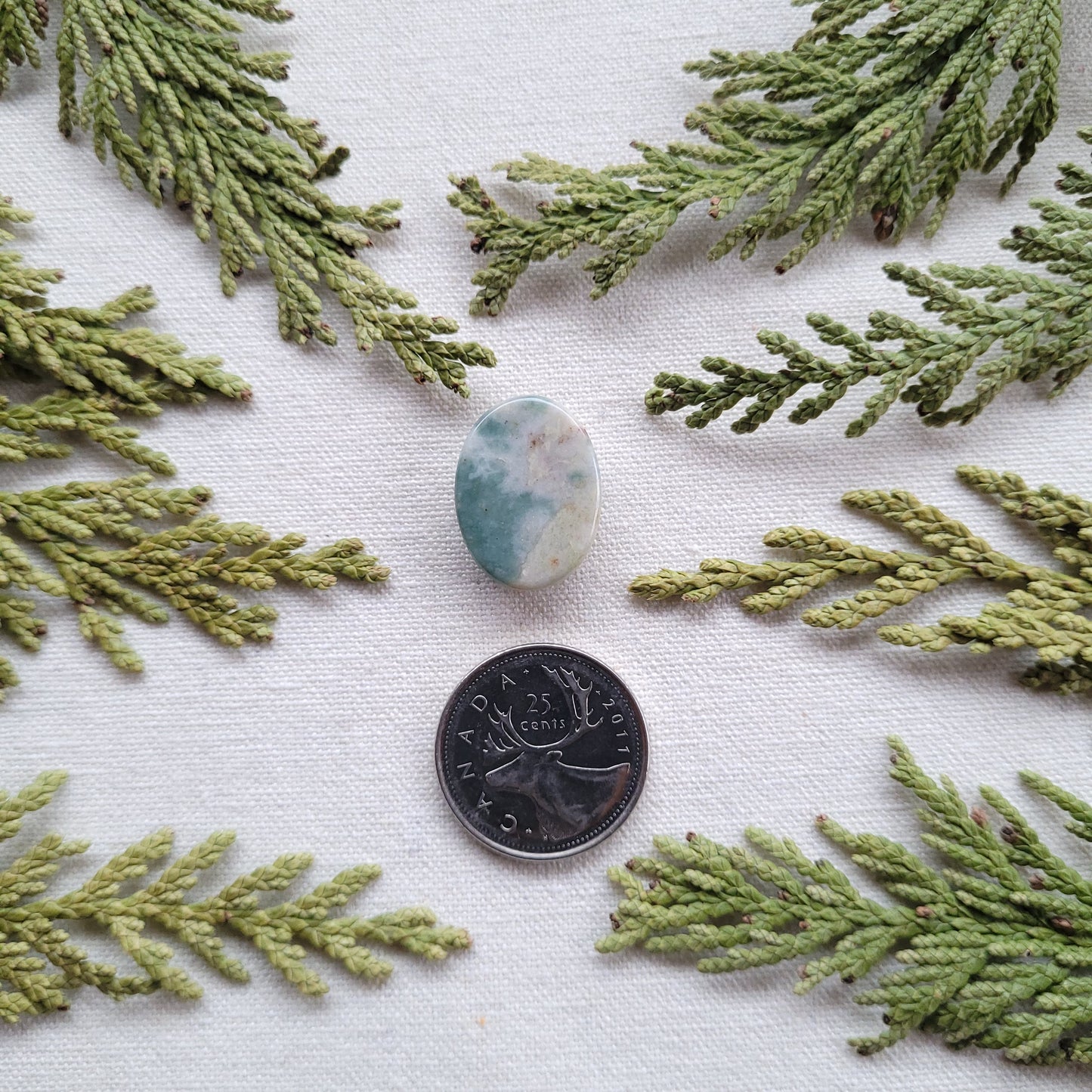 Robins Egg Rhyolite, Skeena River, BC, 15.45 ct