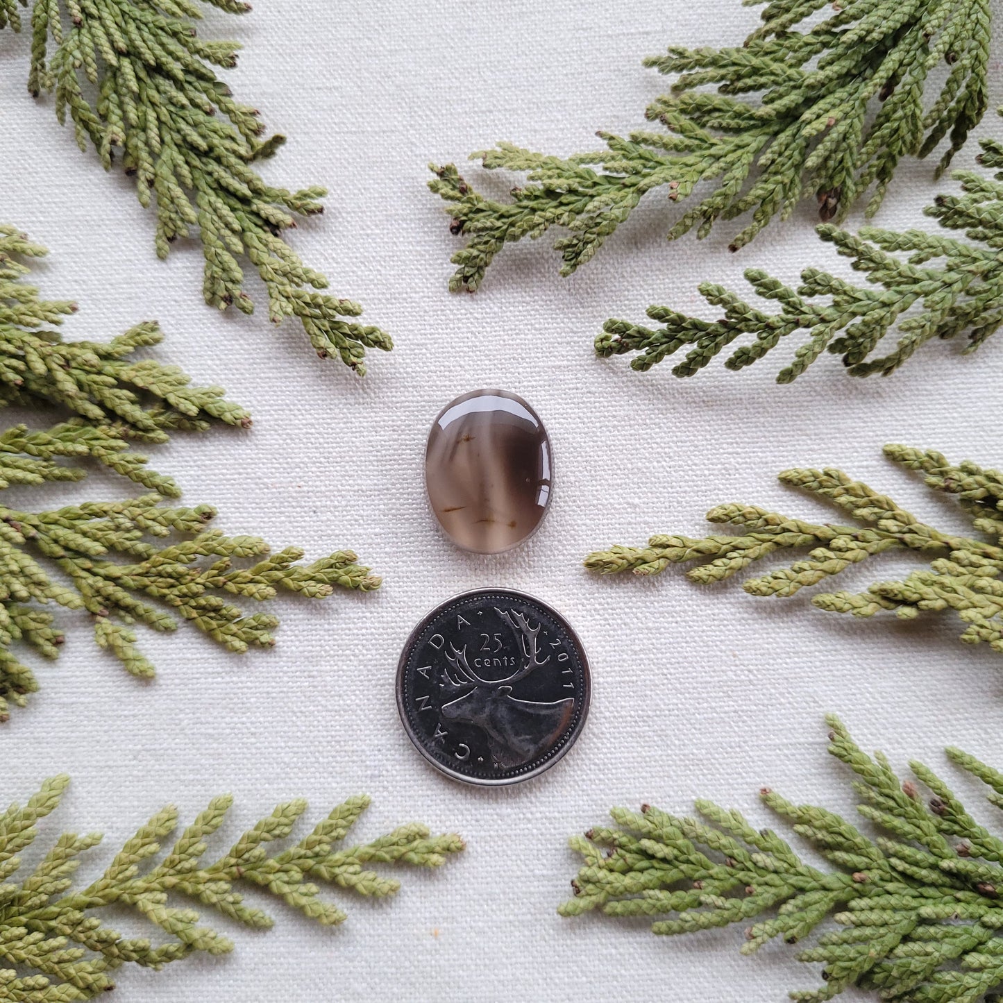 Black Banded Agate, Boston Bar, BC, Canada 14.45ct