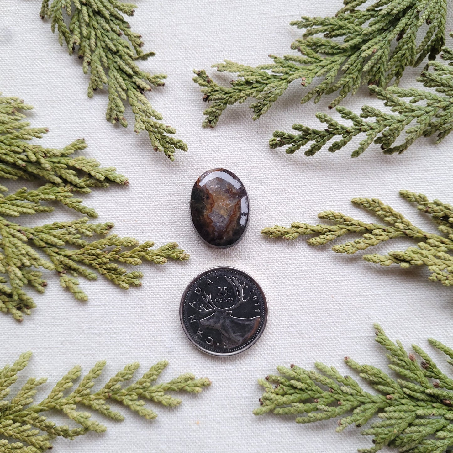 Agatized Rhyolite, Francois Lake, BC 17.45ct