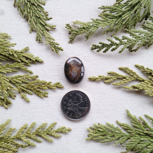 Agatized Rhyolite, Francois Lake, BC 17.45ct