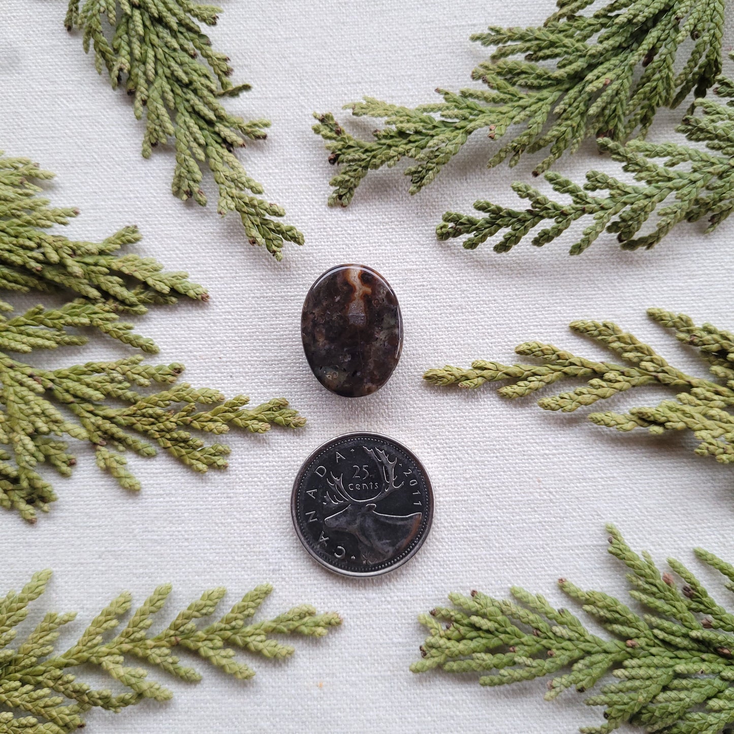 Agatized Rhyolite, Francois Lake, BC 17.45ct