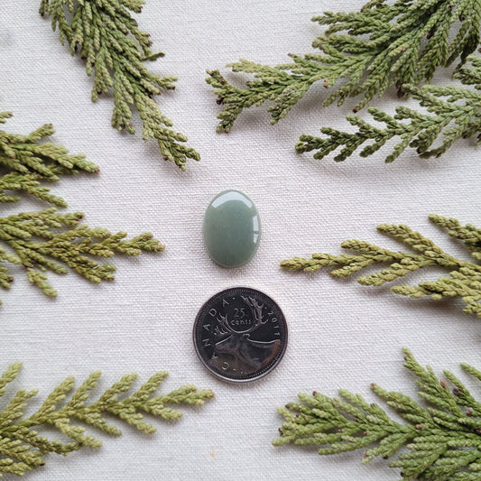 Green Quartzite Cabochon, Salmon River, Prince George, BC 11.25ct