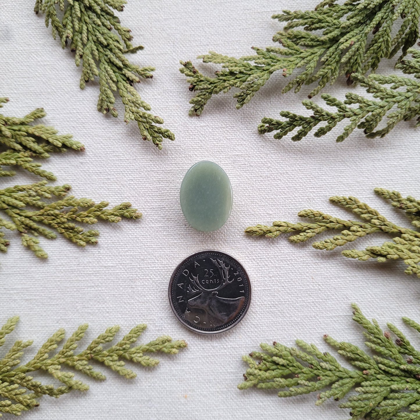 Green Quartzite Cabochon, Salmon River, Prince George, BC 11.25ct