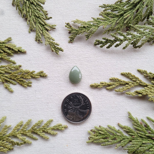 Green Quartzite Cabochon, Salmon River, Prince George, BC 4.3ct