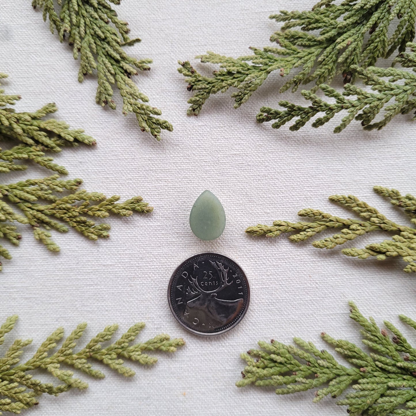 Green Quartzite Cabochon, Salmon River, Prince George, BC 4.3ct