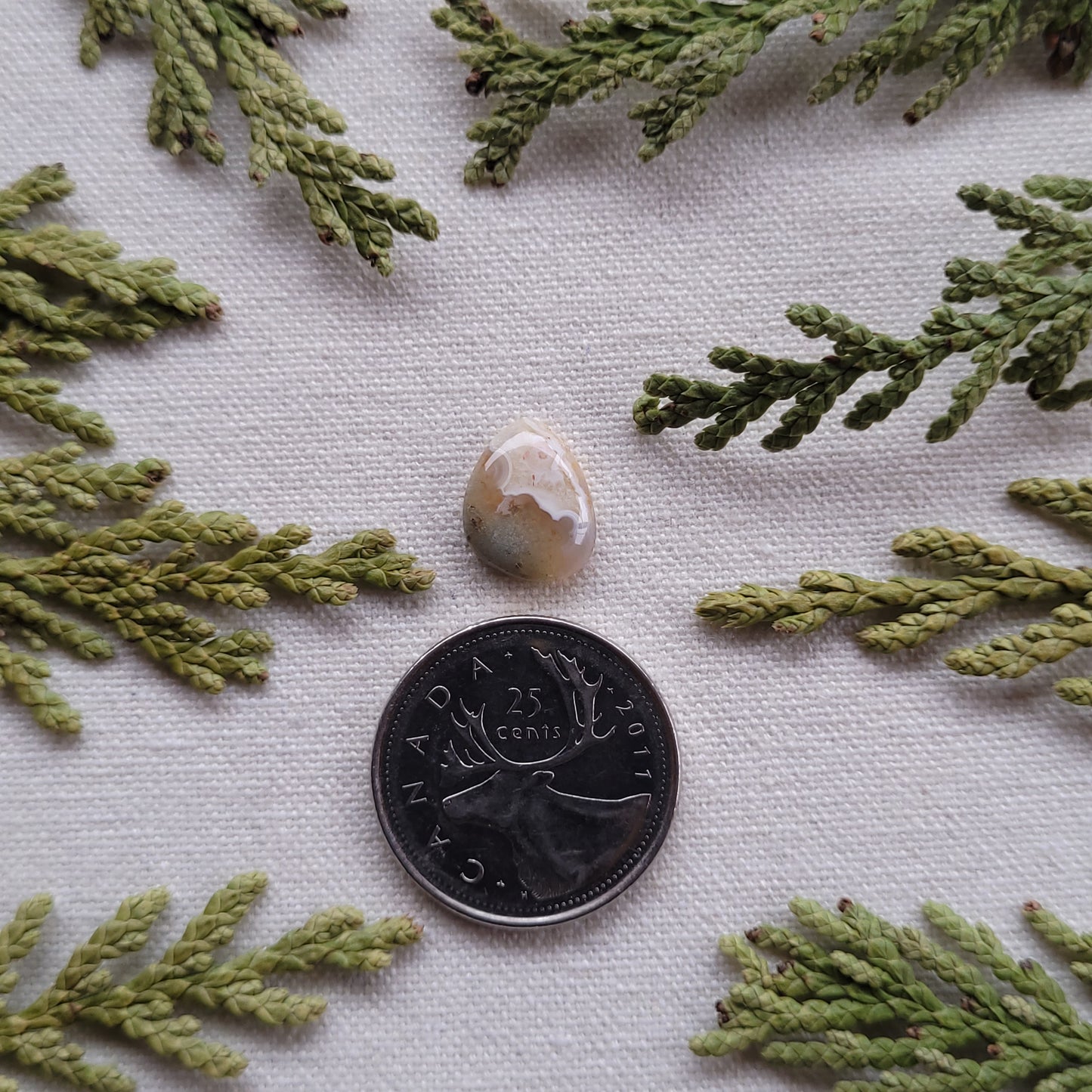 Ominica Moss Agate, Francois Lake, BC 3.2ct