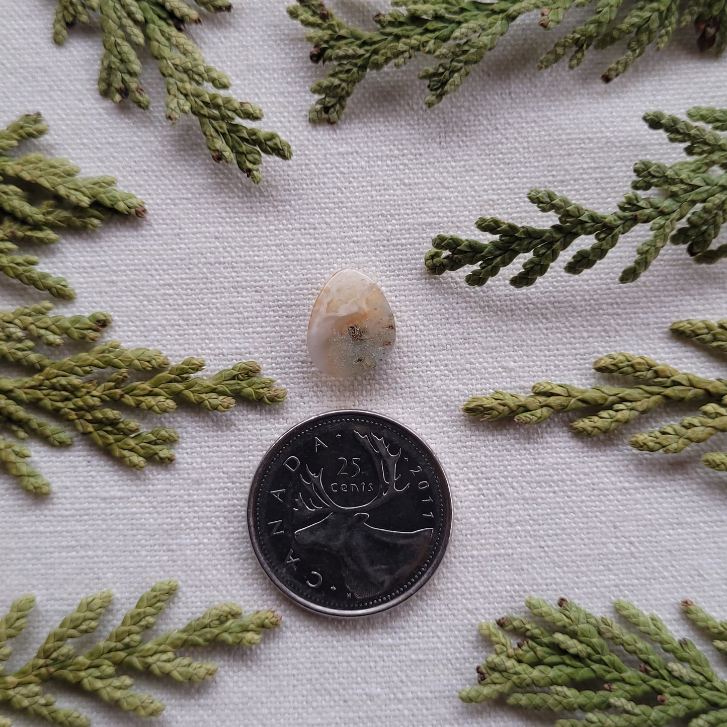 Ominica Moss Agate, Francois Lake, BC 3.2ct