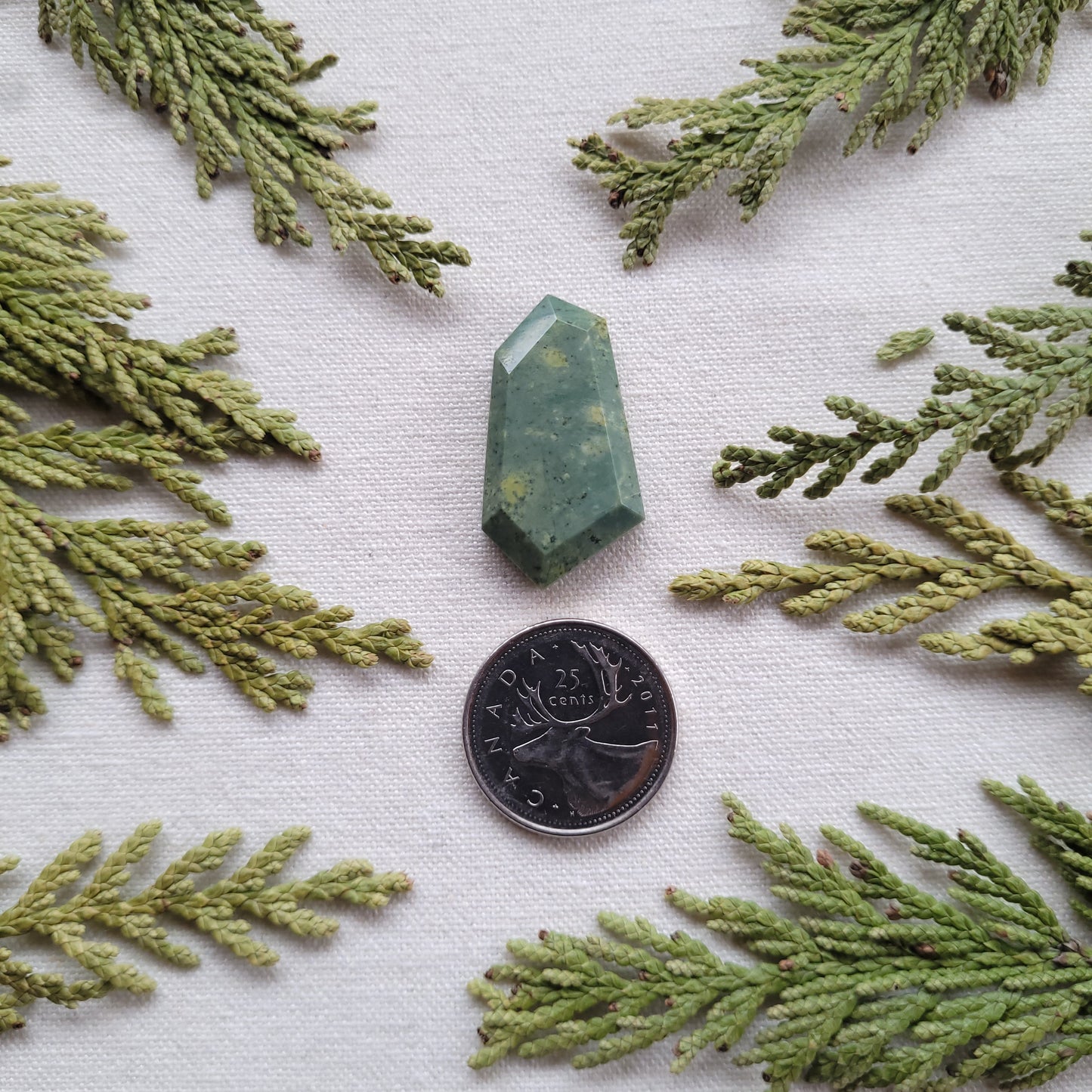 Green Rhyolite, Faceted Freeform Cabochon, Skeena River, BC, Canada, 27.2ct