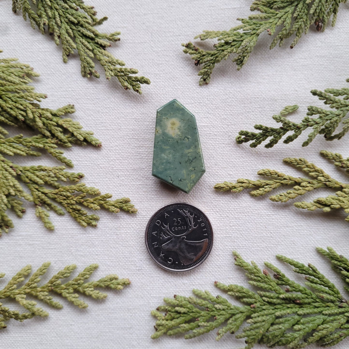 Green Rhyolite, Faceted Freeform Cabochon, Skeena River, BC, Canada, 27.2ct
