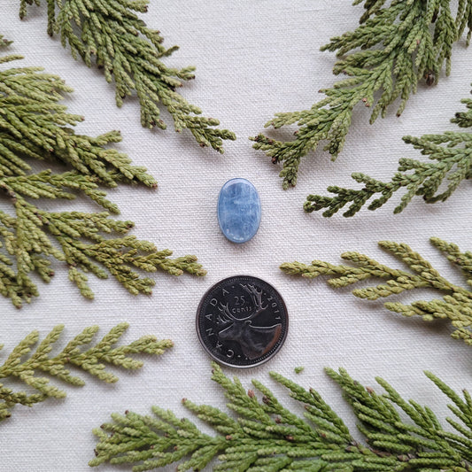 Blue Kyanite Cabochon, Revelstoke, BC, Canada 9ct