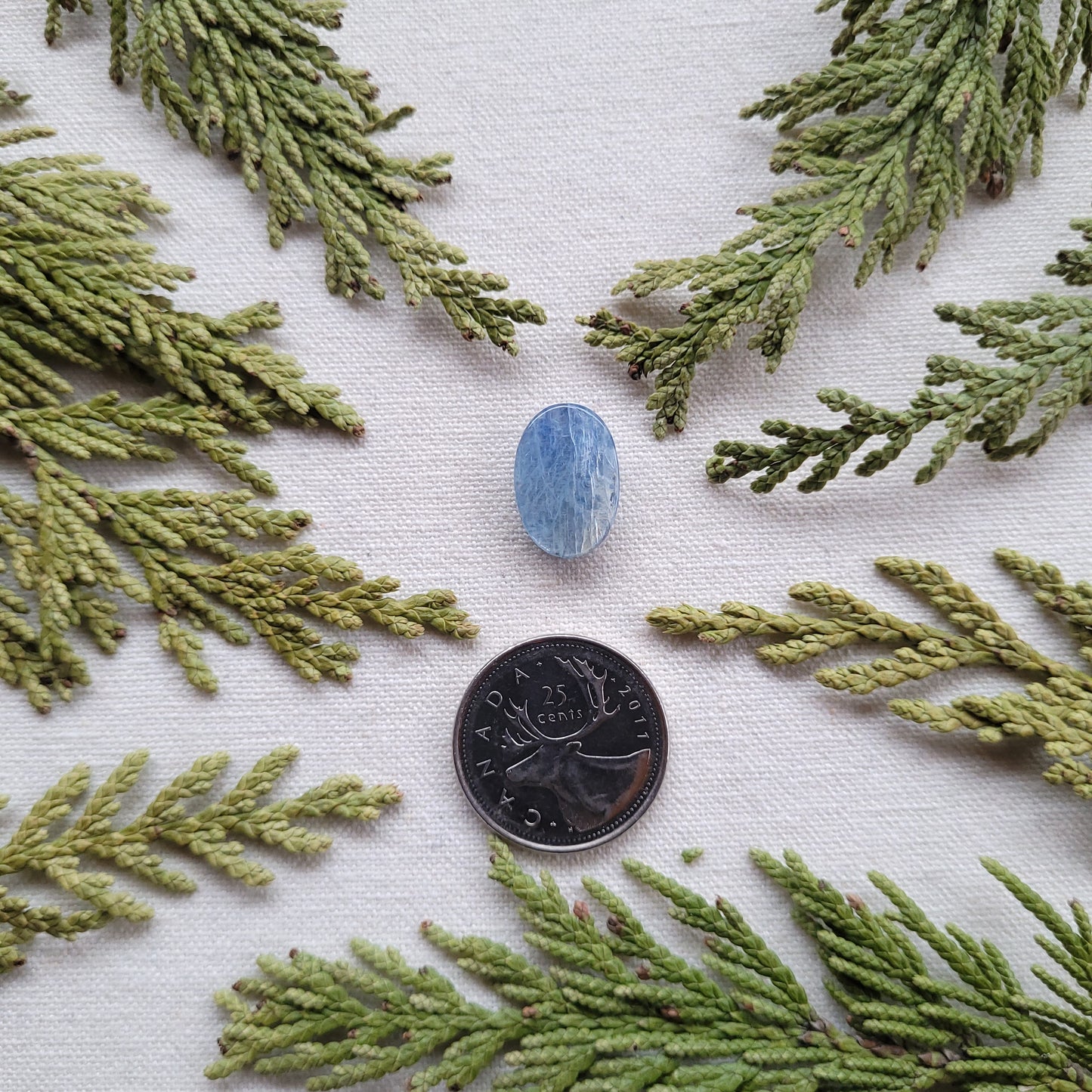 Blue Kyanite Cabochon, Revelstoke, BC, Canada 9ct