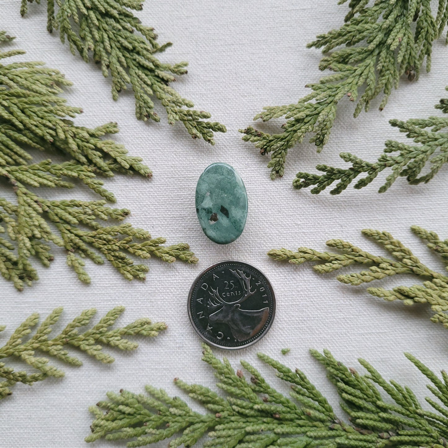 Green Rhyolite Cabochon, Francois lake Area, BC, Canada 12.8ct