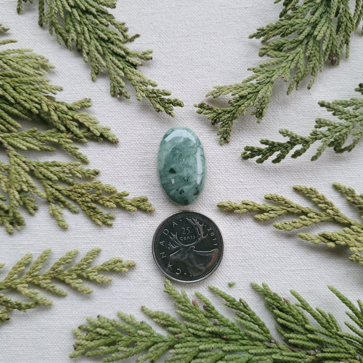 Green Rhyolite Cabochon, Francois lake Area, BC, Canada 21.1ct