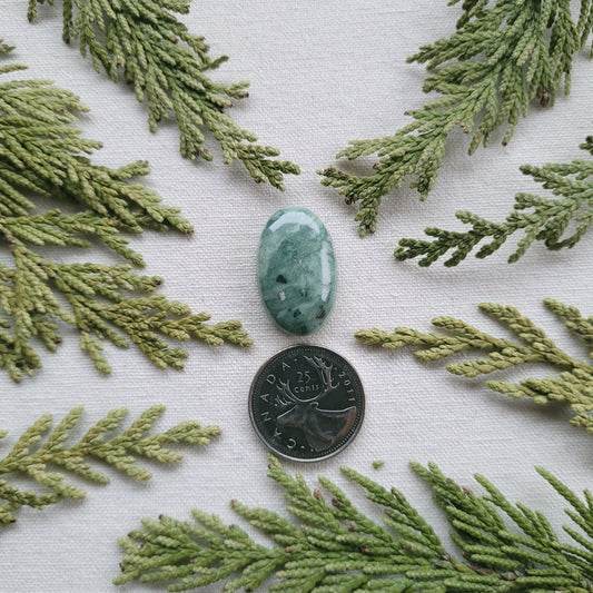 Green Rhyolite Cabochon, Francois lake Area, BC, Canada 21.1ct