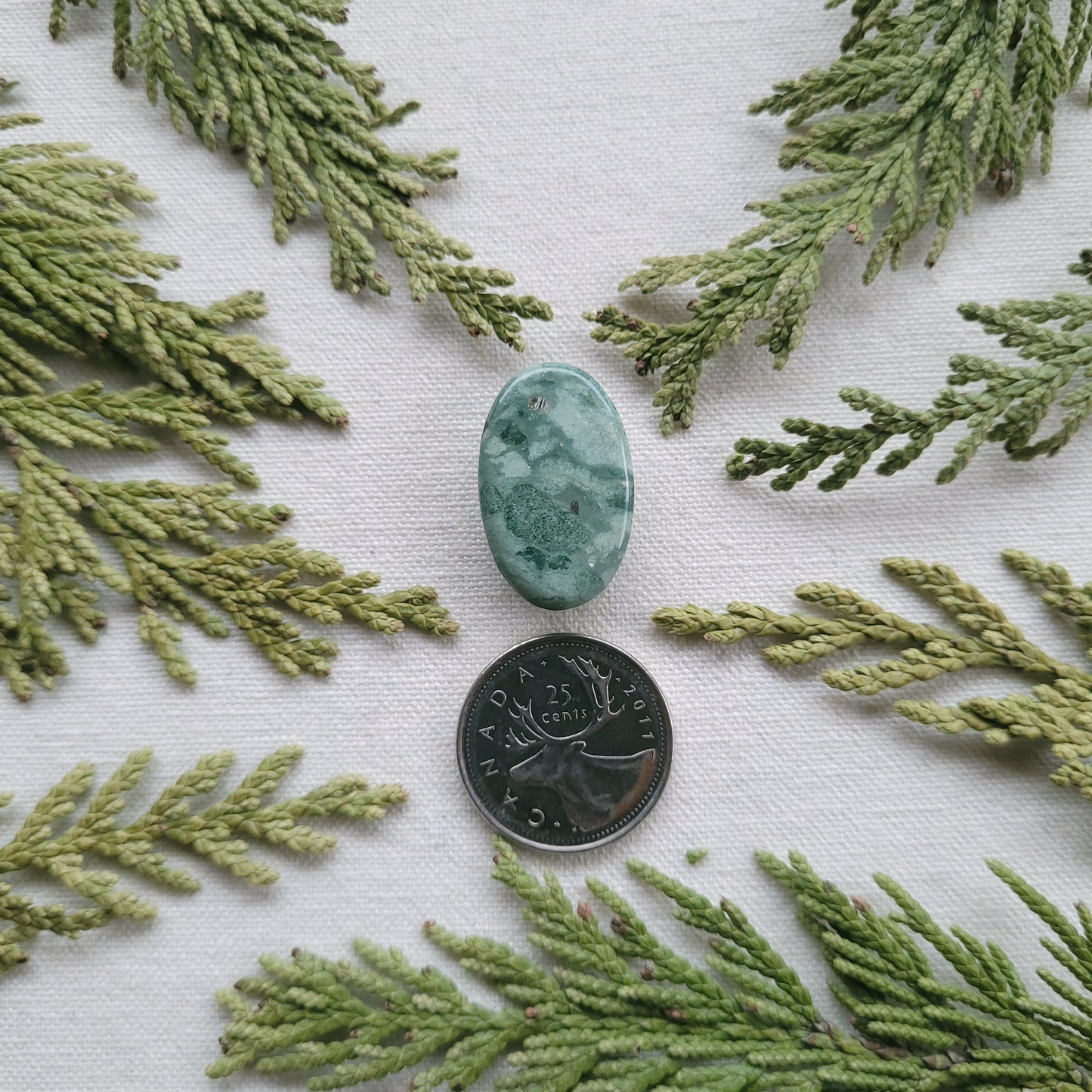 Green Rhyolite Cabochon, Francois lake Area, BC, Canada 21.1ct
