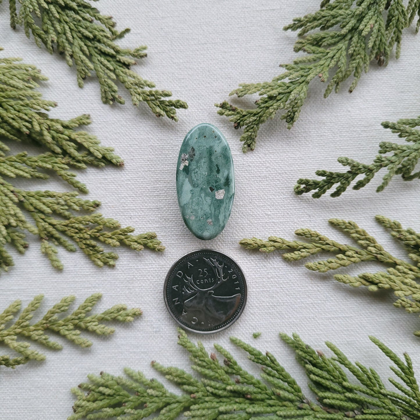 Green Rhyolite Cabochon, Francois lake Area, BC, Canada 23.4ct