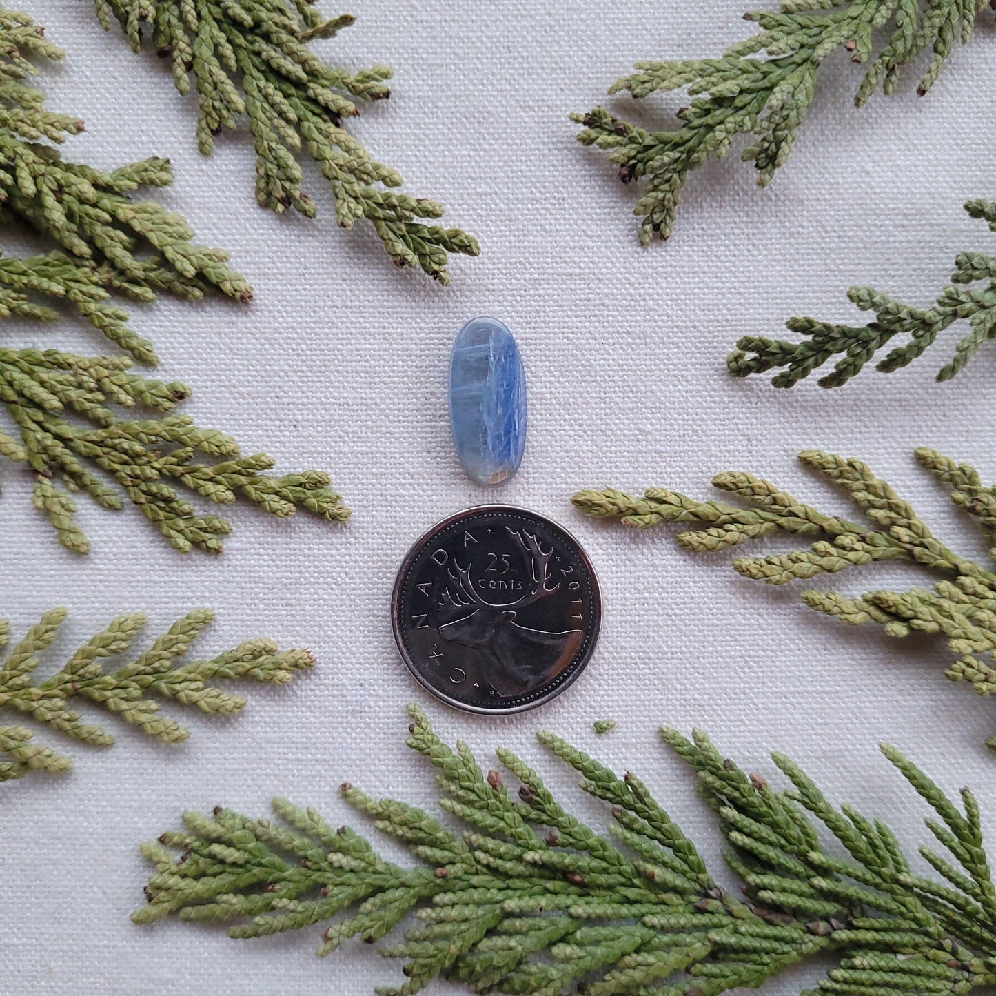 Blue Kyanite Cabochon, Revelstoke, BC, Canada 6.35ct
