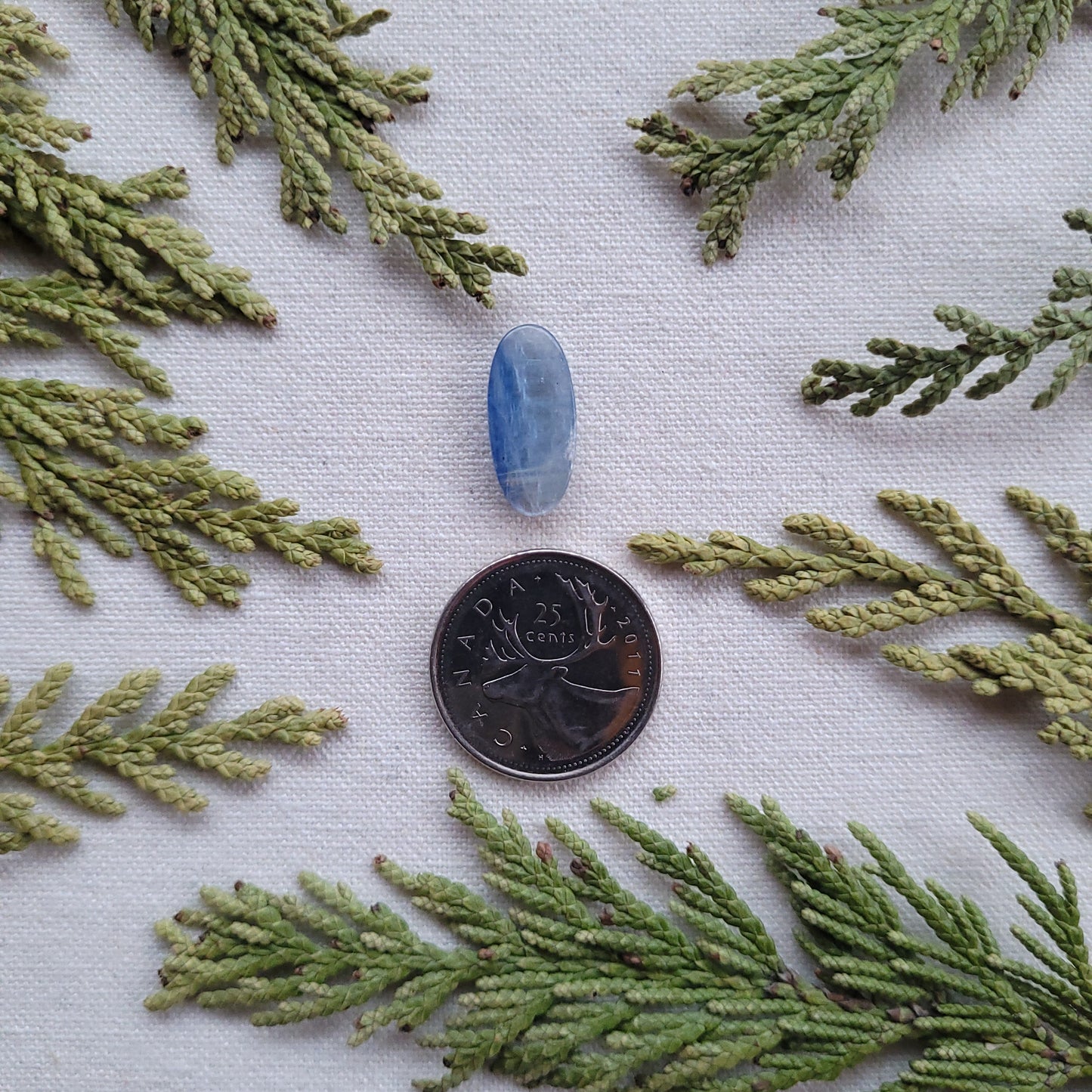 Blue Kyanite Cabochon, Revelstoke, BC, Canada 6.35ct
