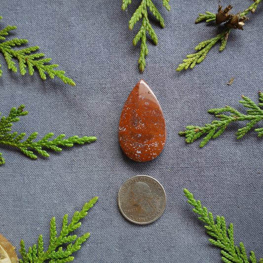 60ct Plume Agate Cabochon, Fraser Lake, BC, Canada