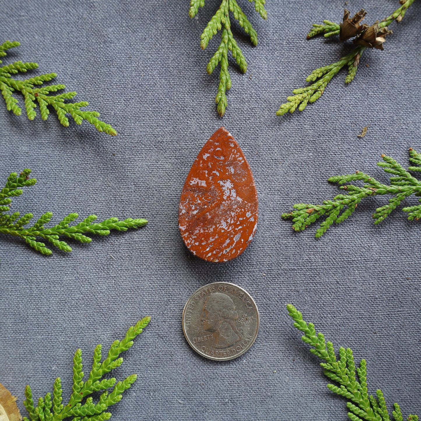 60ct Plume Agate Cabochon, Fraser Lake, BC, Canada