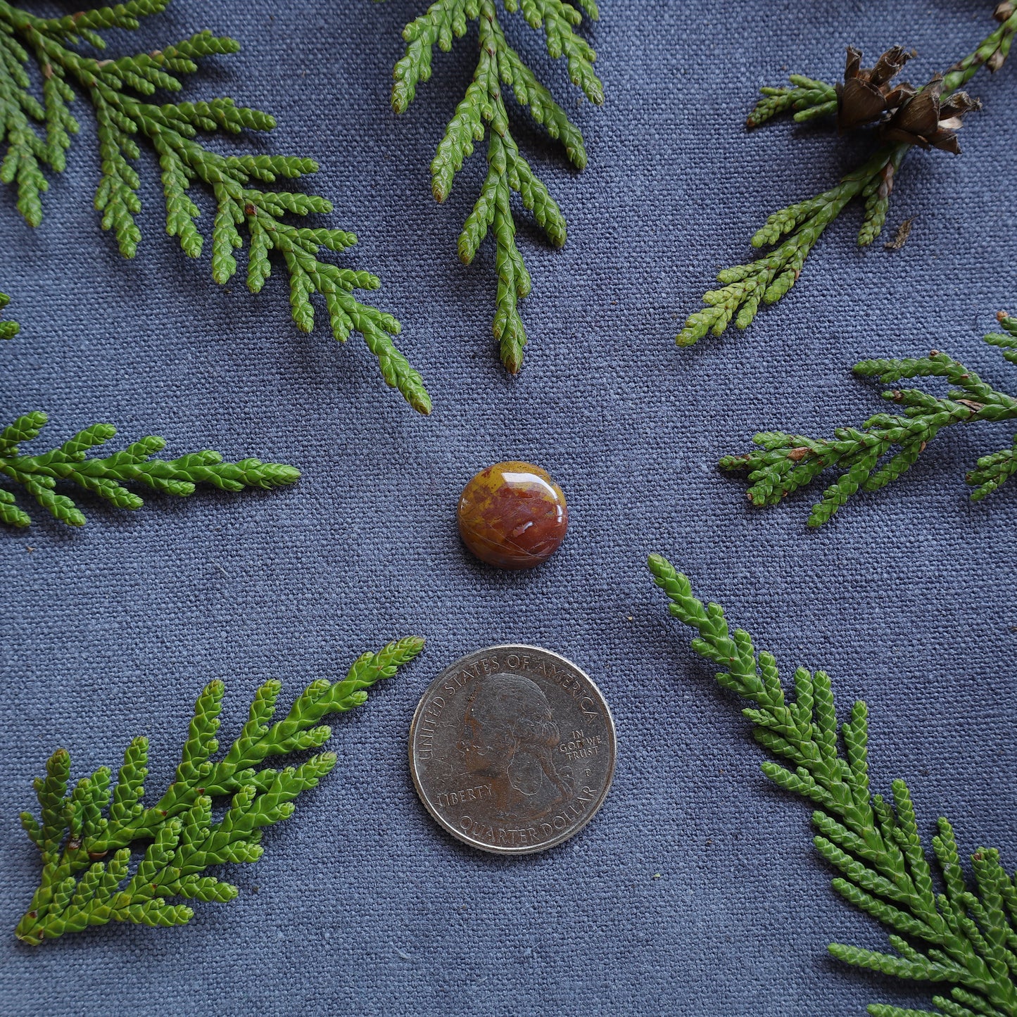 5.35ct red and yellow jasper, Fraser Lake, BC, Canada