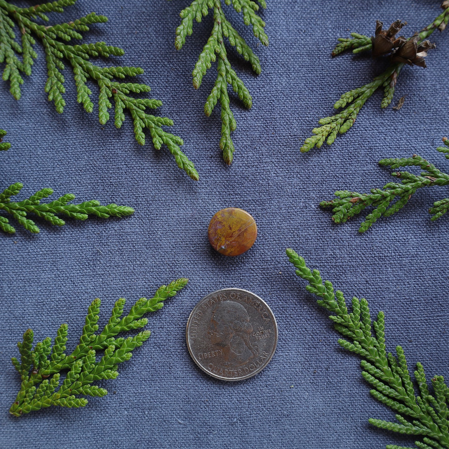 5.35ct red and yellow jasper, Fraser Lake, BC, Canada
