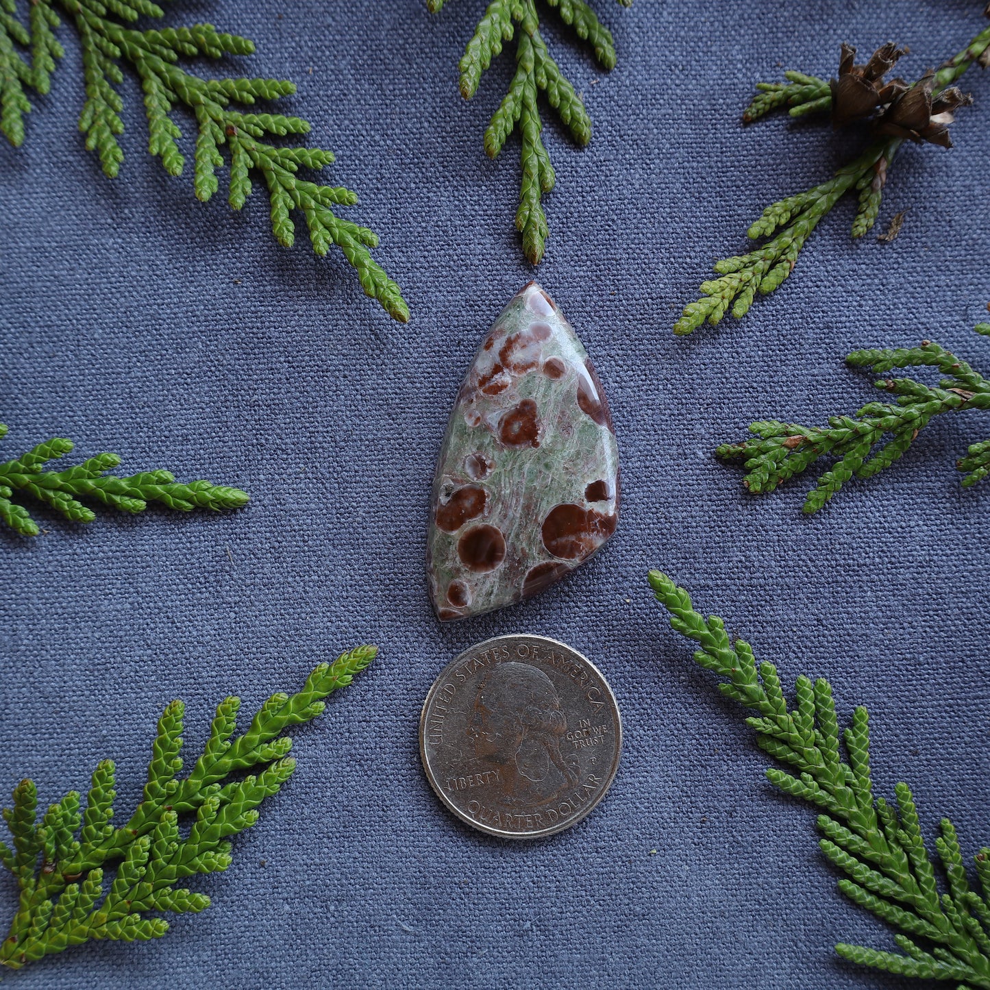 43.8ct Orbicular Rhyolite, Terrace, BC, Canada