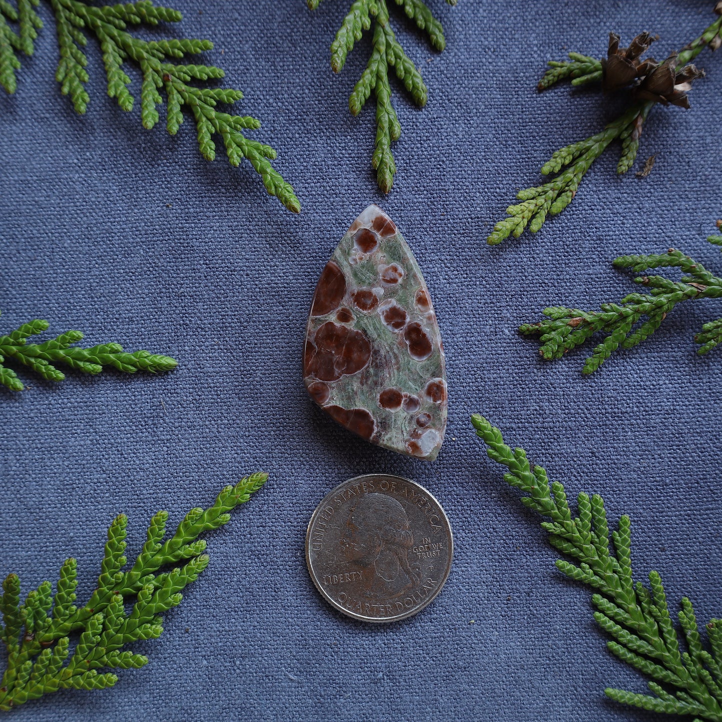 43.8ct Orbicular Rhyolite, Terrace, BC, Canada
