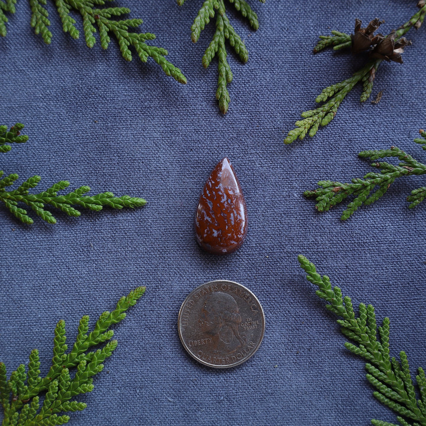18.95ct Jasp-Agate Cabochon, Fraser Lake, BC, Canada