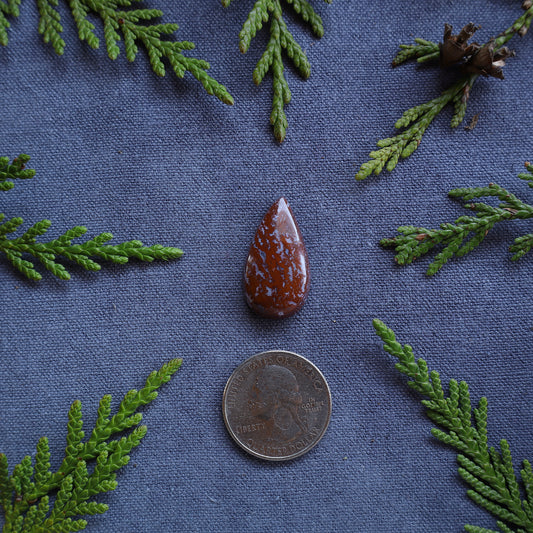 18.95ct Jasp-Agate Cabochon, Fraser Lake, BC, Canada