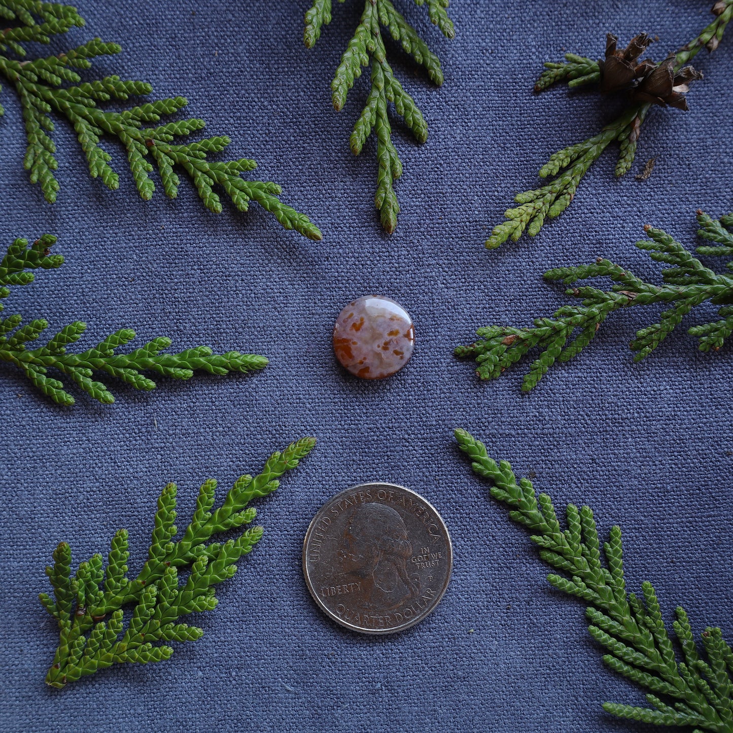 6.15ct Red Agate, Northern BC, Canada