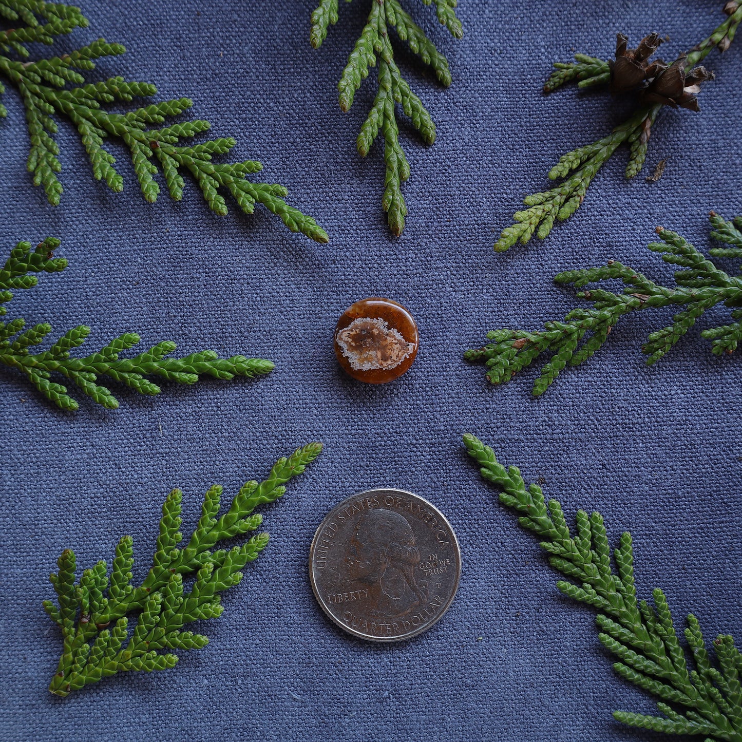 6.15ct Red Agate, Northern BC, Canada