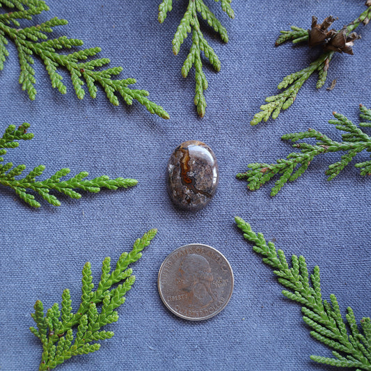 17.65ct Red Agate Cabochon, Northern BC, Canada