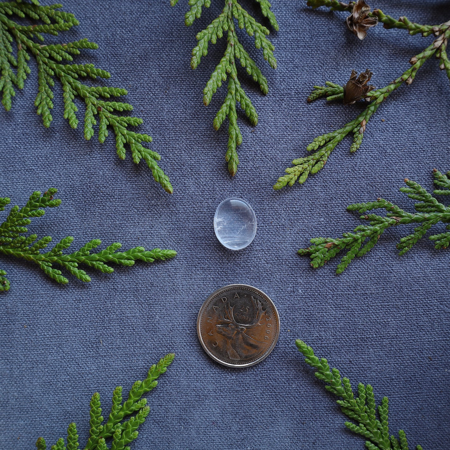 7.5ct Clear Quartz Cabochon, Skeena River, BC