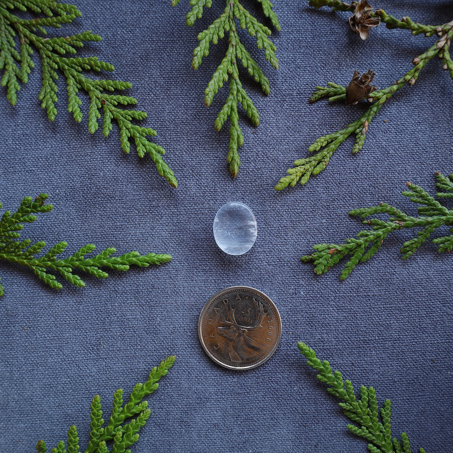 7.5ct Clear Quartz Cabochon, Skeena River, BC