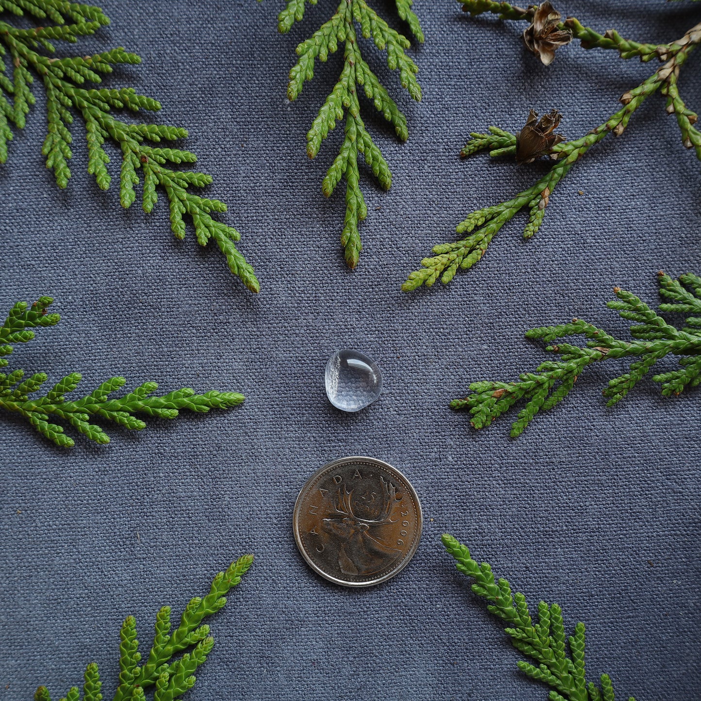 4.5ct Clear Quartz Cabochon, Skeena River, BC, Canada