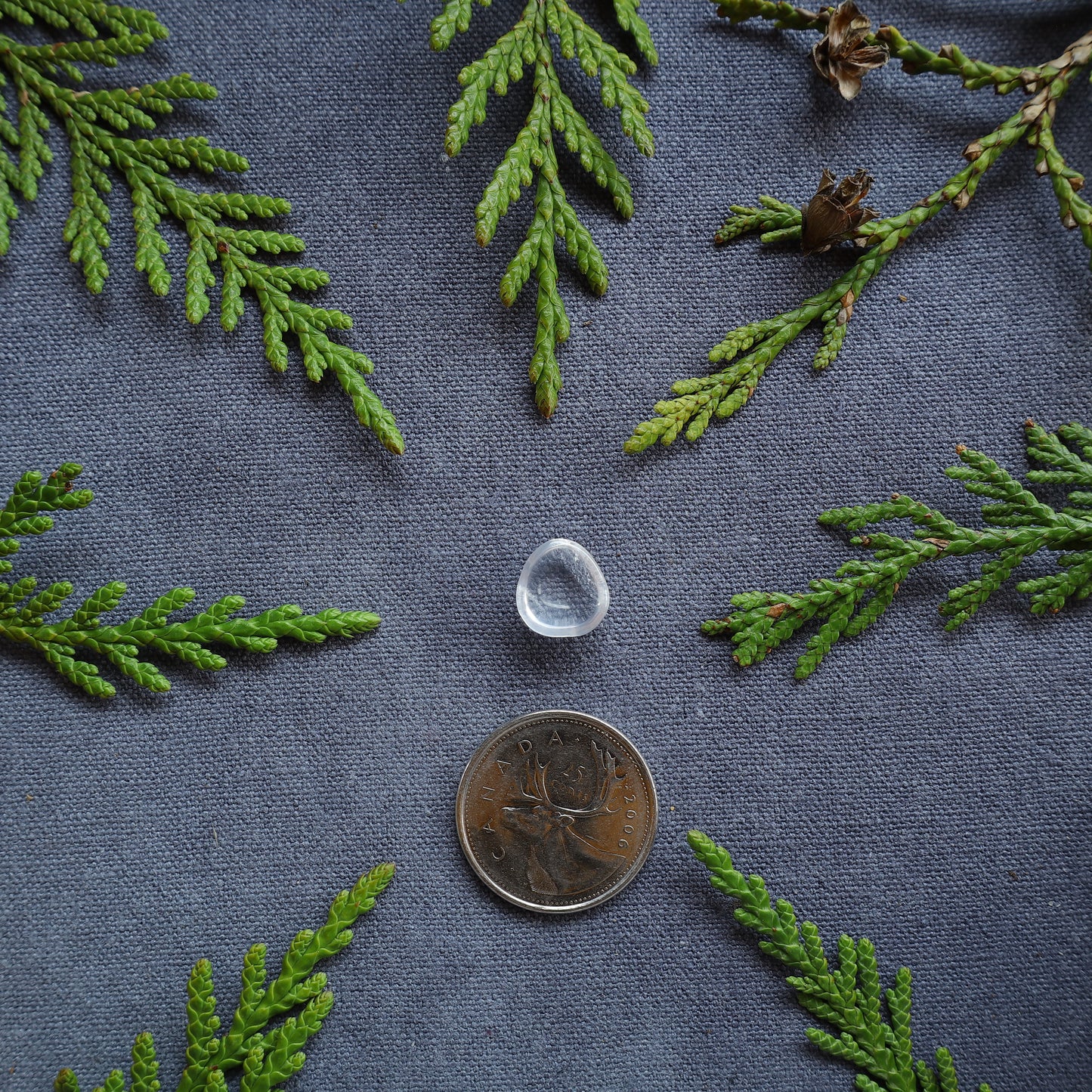4.5ct Clear Quartz Cabochon, Skeena River, BC, Canada