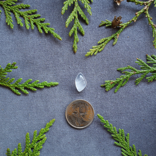 5.5ct Clear Quartz Cabochon, Skeena River, BC, Canada