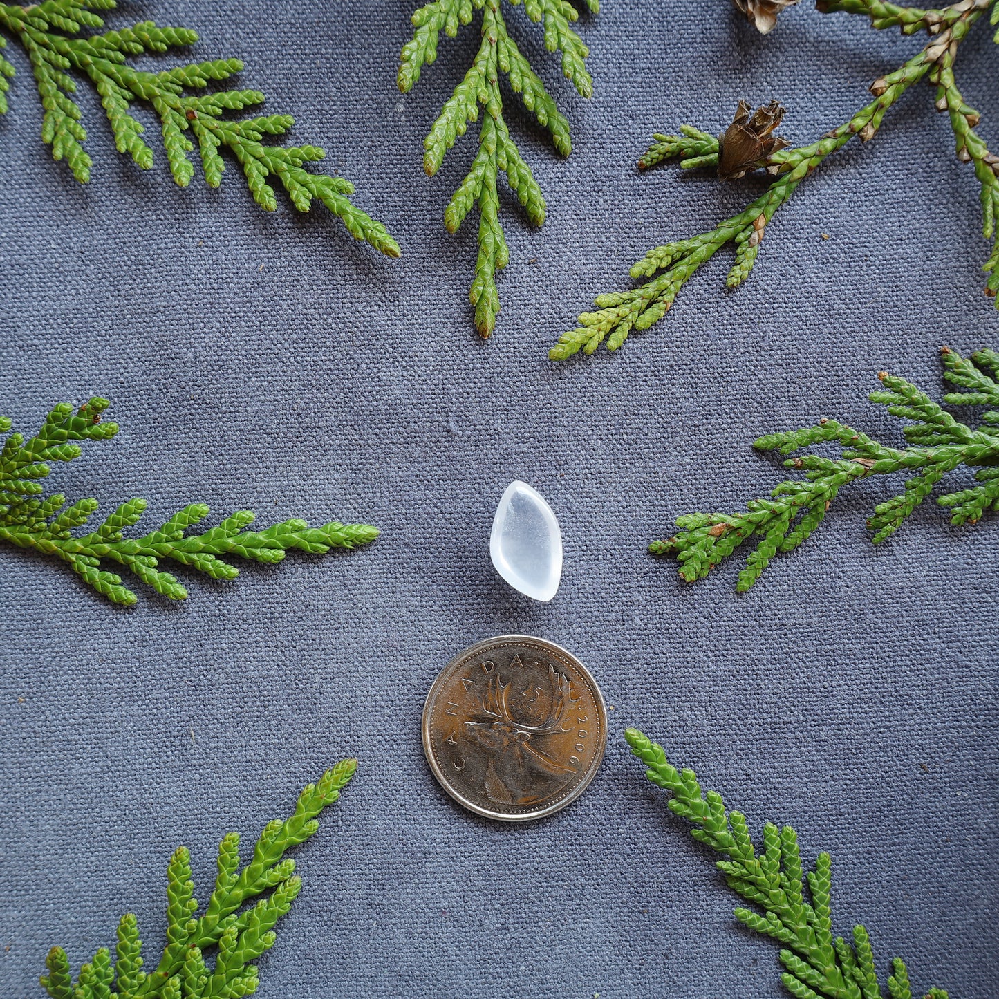 5.5ct Clear Quartz Cabochon, Skeena River, BC, Canada