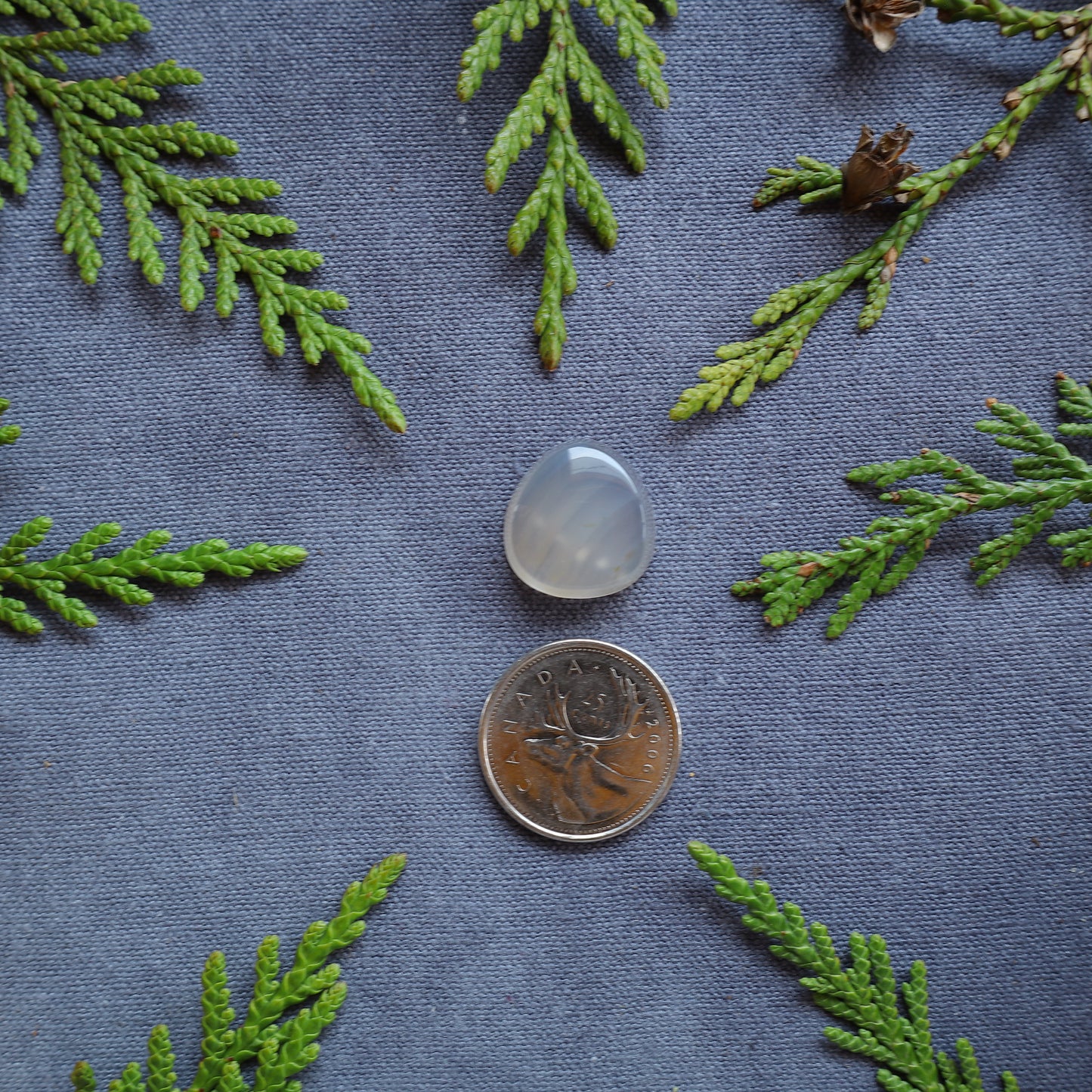 17.25ct Agate Cabochon, Fraser Lake, BC